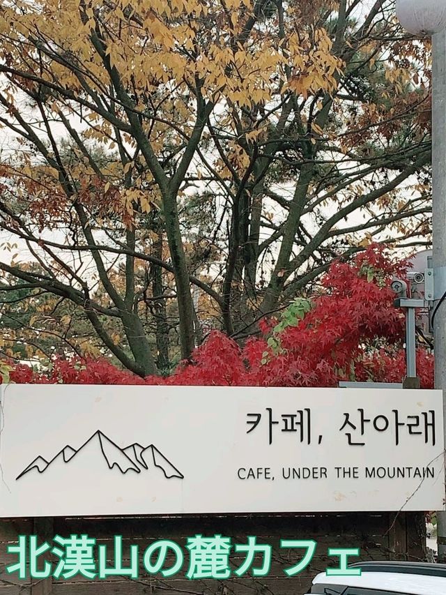 ソウル/北漢山の麓カフェ★山ビューが素敵！！