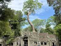 Discovering the wonders of Siem Reap (4D3N)