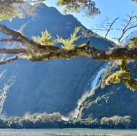 Magical Journey to Milford Sound: A Scenic Adventure You’ll Never Forget
