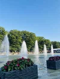 上野恩賜公園🇯🇵の芸術の散歩道で癒されよう🌿⟡.·