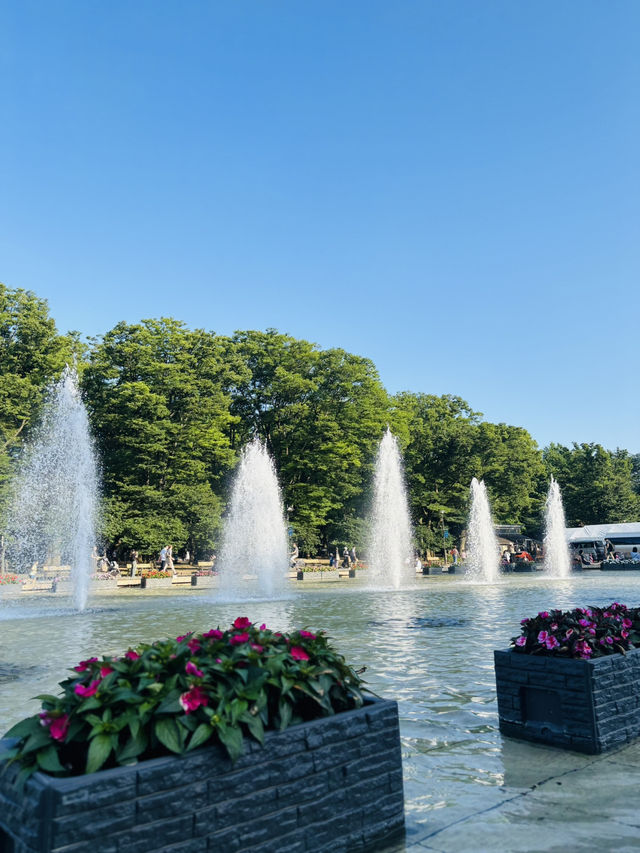 上野恩賜公園🇯🇵の芸術の散歩道で癒されよう🌿⟡.·