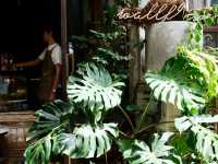 Bangkok's Micro-House Cafe: Wallflowers Cafe! 🏡☕