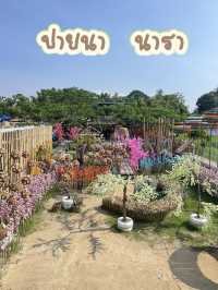 ปายนา..นารา 