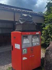 【国宝・彦根城でタイムスリップ体験🏯】ひこにゃんにも会えるかも⁉️