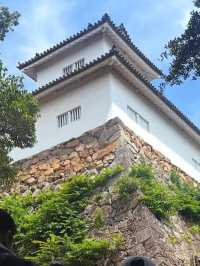 【国宝・彦根城でタイムスリップ体験🏯】ひこにゃんにも会えるかも⁉️