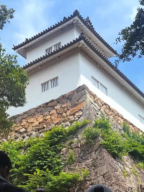 【国宝・彦根城でタイムスリップ体験🏯】ひこにゃんにも会えるかも⁉️