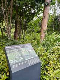 Kingfisher Wetlands: Hidden Gem of Nature at Gardens by the Bay