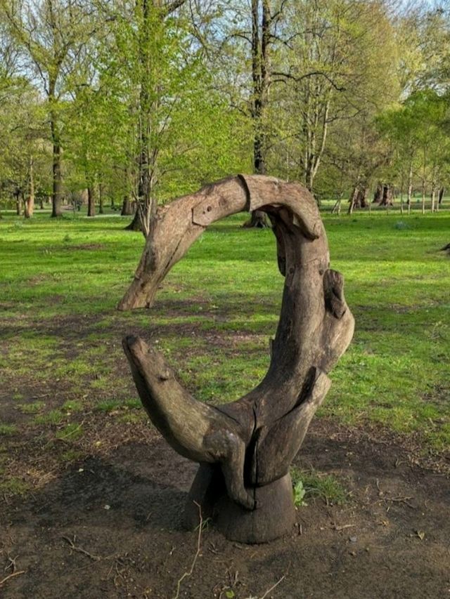 Bute Park