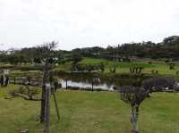 🌿 Reflecting in Peace – A Visit to Peace Memorial Park, Okinawa