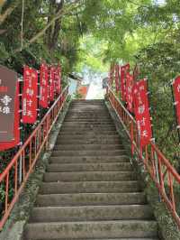 【湖に浮かぶ神秘の島⛩️】竹生島でパワースポット巡りの旅✨