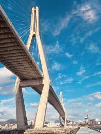 Busan Harbor Bridge: An Iconic Landmark Offering Dazzling Vistas