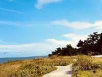 Orangdae Park, Busan: A Tranquil Coastal Retreat with Ancient Legends