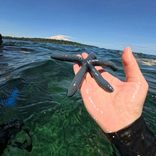 沙巴天堂島一日遊 🏝