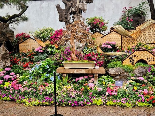 I came to this garden in Suzhou, and I was stunned by its beauty
