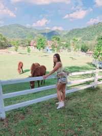 Royal Good View Resort & Farm สวนผึ้ง
