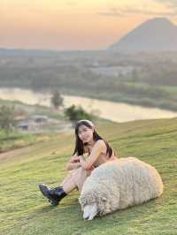 คาเฟ่  ฟาร์มแกะในเมืองเชียงราย ABONZO