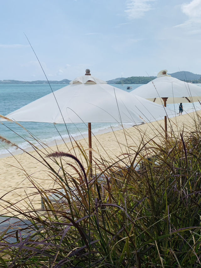 หาดบ่อผุด สมุย น้ำใส สงบ สวยเกินต้าน