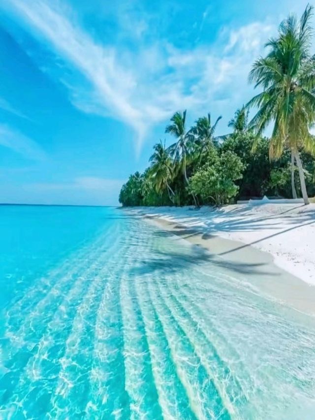三亞「小天堂」⛱️🥥🍹蜈支洲島全攻略