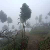 讓我們看雲去～馬拉邦山
