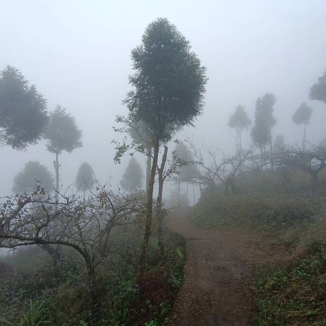 讓我們看雲去～馬拉邦山
