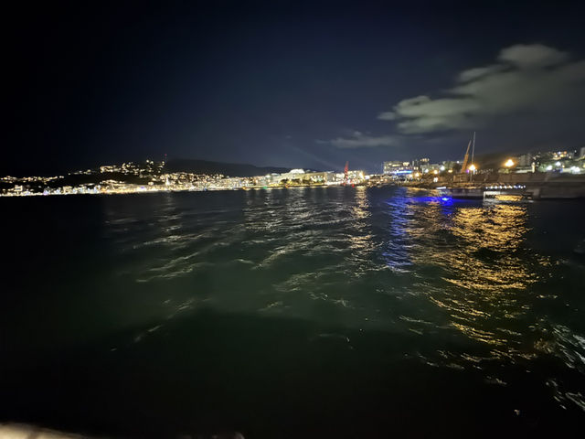 Wellington Capital with a catch 