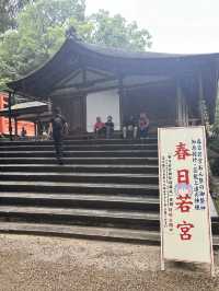 春日大社：在奈良感受神社的靈氣，探訪自然與文化的和諧交融！