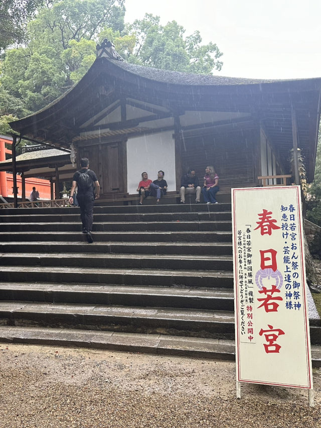 春日大社：在奈良感受神社的靈氣，探訪自然與文化的和諧交融！