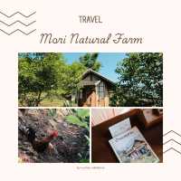 Mori Natural Farm เชียงใหม่ 🌿🏡