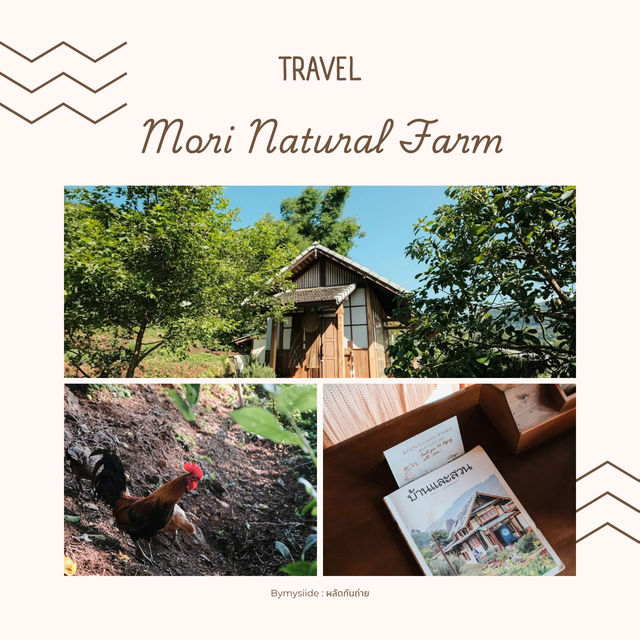 Mori Natural Farm เชียงใหม่ 🌿🏡