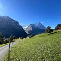 Grindelwald First – Trottibike & Zipline