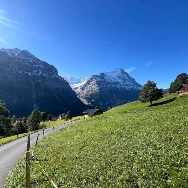 Grindelwald First – Trottibike & Zipline