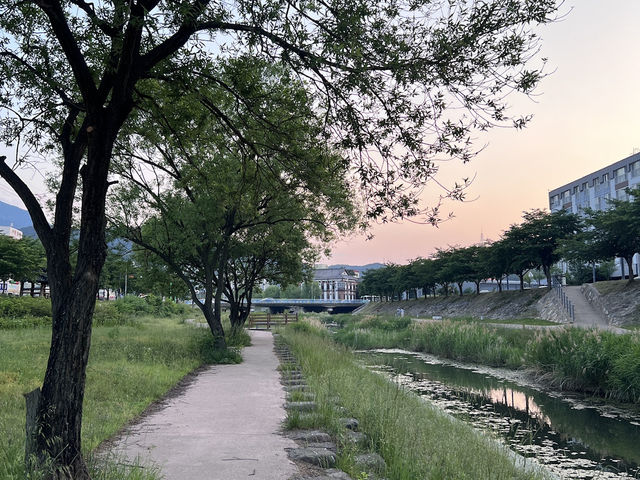 금오천 산책로 함께 걸을래요? 