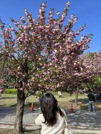 รีวิว 미사경장공원 (Misa Gyeongjang Park) 🌸