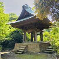 Conquering the Sacred Summit: A Solo Summer Hike Up Mount Jinmu-ji, Kanazawa