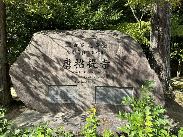 唐招提寺：探索奈良的佛教瑰寶，感受千年文化的深厚底蘊！