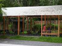 Third-Wave Nirvana: The Baristro’s Bamboo-Steamed Silence