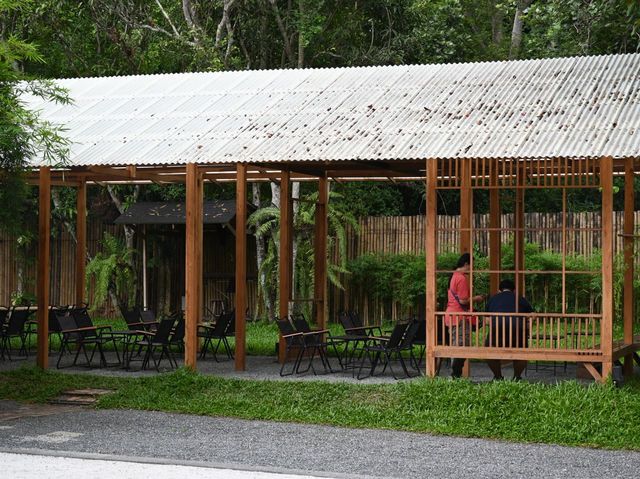 Third-Wave Nirvana: The Baristro’s Bamboo-Steamed Silence