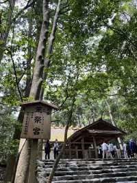 伊勢神宮｜走進神明的森林，與自然對話的靜心之旅🌿⛩️
