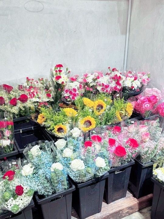 Blooms & Beauty in the Heart of KL: Discover Dayang Rose 🌹