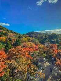 วัดคิโยมิซึ (Kiyomizu‑dera) ตอนฤดูใบไม้เปลี่ยนสี 