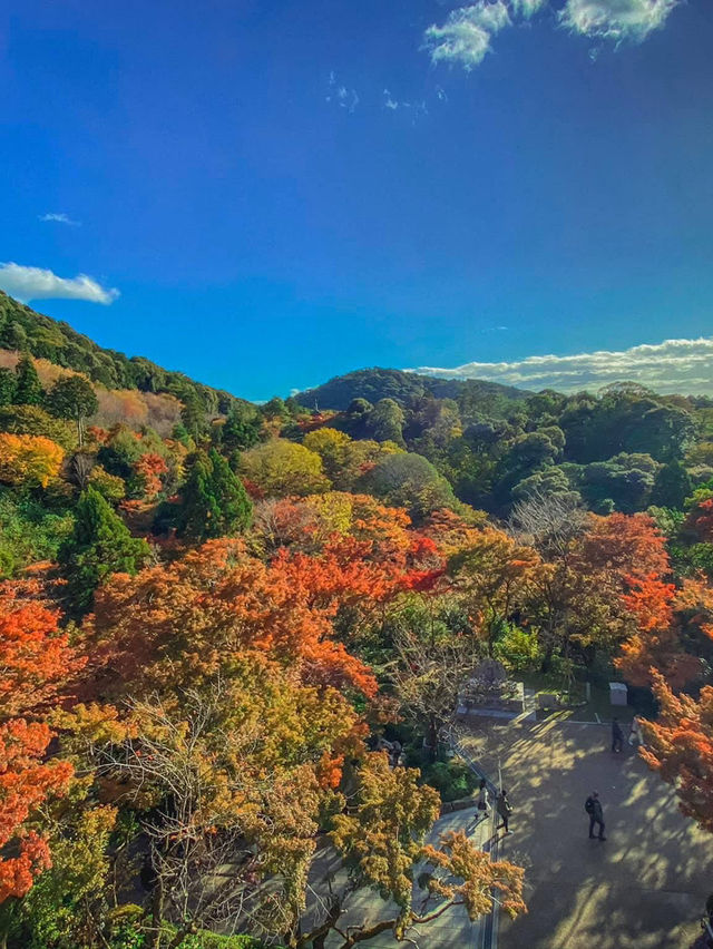 วัดคิโยมิซึ (Kiyomizu‑dera) ตอนฤดูใบไม้เปลี่ยนสี 