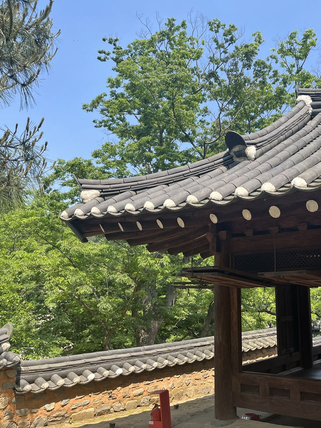 연못 위에 머문 고요함, 함양 무진정 산책기