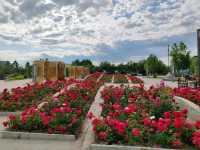 Small Park by Nightlight Town Hotel: A City Oasis by the Internet-Famous Bridge