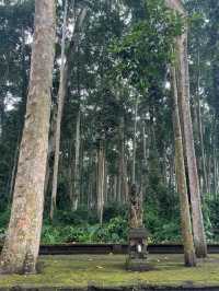 Sangeh Monkey Forest
