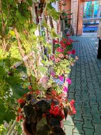 Kazanqi Home Visit: Savoring Artisan Traditions  