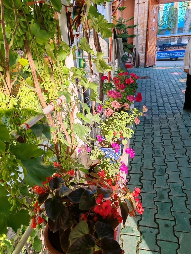 Kazanqi Home Visit: Savoring Artisan Traditions  