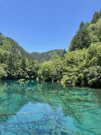 九寨溝：人間瑤池的夢幻仙境