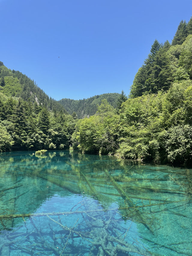 九寨溝：人間瑤池的夢幻仙境