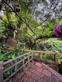 Wanshi Botanical Garden 🌺 