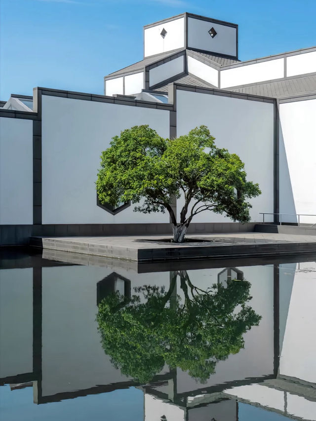 Suzhou Museum 🏛️🎨
